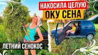 Каролина в деревне. Что будет дальше?