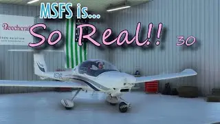 MSFS is... SO REAL!! 30