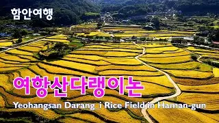 함안 다랭이논 4k드론영상 | 여항산다랑이논 | 황금들녘 | 함안가볼만한곳 | 경남여행 | 다랭이논 | 다락논 | drone video | 4k Drone Footage 140