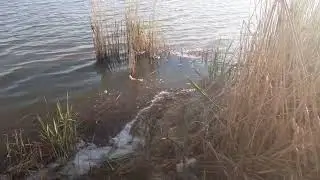 Рыбалка в апреле Херсонская область