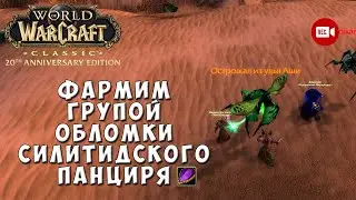 Фармим группой Обломки силитидского панциря - WoW Classic Anniversary Edition