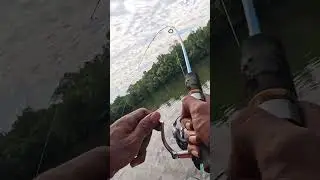 spot mancing super Haup  #fishing #mancing