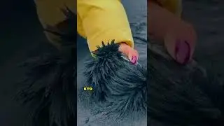Анекдот 😂 Две ракеты
