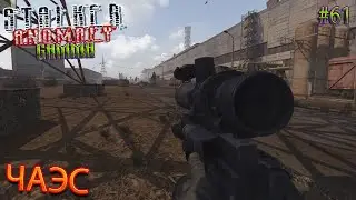 ЧАЭС | STALKER ANOMALY GAMMA | Серия 61