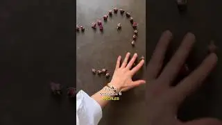 У меня осталось 6 месяцев.. 