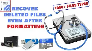 How to Recover Deleted Files on Hard Drive from Windows 11 With Tenorshare 4DDiG