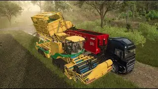 Farming Simulator 25 -  New Crop: Spinach #farmingsimulator25