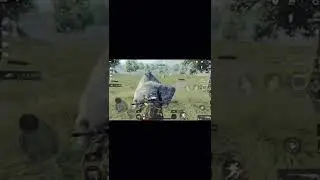 How can I survive this?