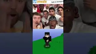 Mr Beasti Omeglede Buldum