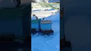 11 марта 2024 г.