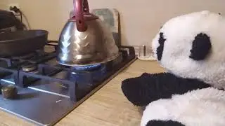 Размышления о жизни