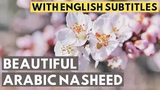 Oh You Who Longs For Paradise | Beautiful Arabic Nasheed