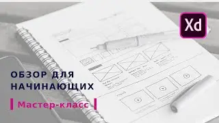 Мастер-класс Adobe XD для начинающих
