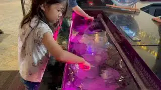 How to touch Jellyfish ???? @TKTakanin #shorts