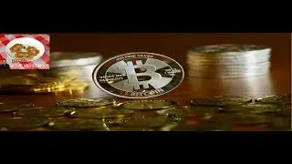 НОВОЕ направления в elysium company!!! БОМБА