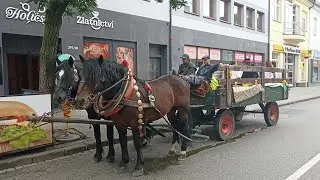 Svatovavřinecké hody v Hodoníně 2023 Jižní Morava 🧐