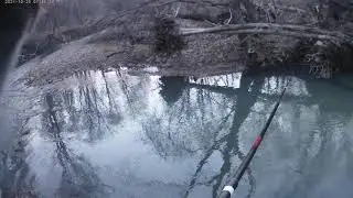 супер улов горной рыбы