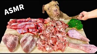 Best Dog MUKBANG PITBULL EATING RAW MEAT PARTS