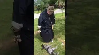 Нападение. Инспектор Лестрейд😂