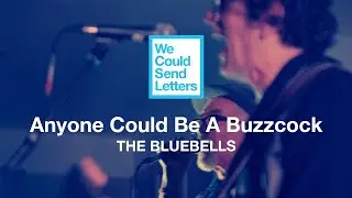 We Could Send Letters: The Bluebells - Anyone Can Be A Buzzcock