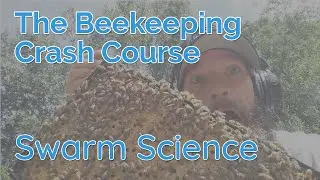 Swarm Science - Biology Part 4 - Beekeeping Crash Course
