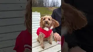ЧТО В КАРМАНАХ У НЮШИ? 