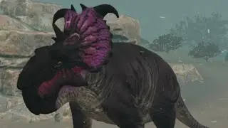 Arazoa Realism | Pachyrhino Growth | Description