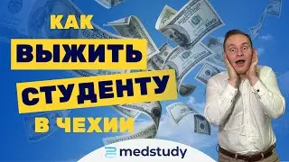 Сколько стоит жизнь в Чехии? Или как выжить в Праге в 2024 году