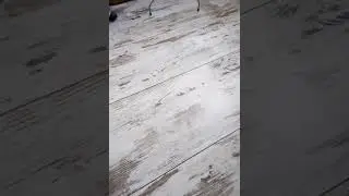 Магия Яйца!Переклад на яйцо! Скид болезни порчи на яйцо!Чистка яйцом!