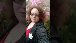 Цветущий куст