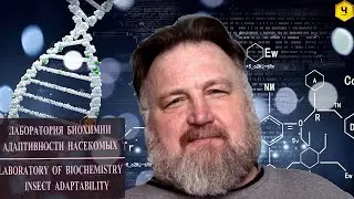 ДНК анализ пчёл. Микросателлиты. Возможности селекции.