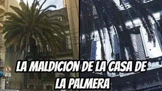 La maldición de la casa de la palmera