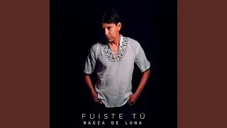 Fuiste tú