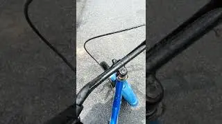 Lajak kecundang Mati