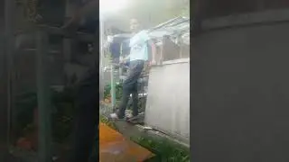 дрыз