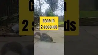 Gone in 2 seconds
