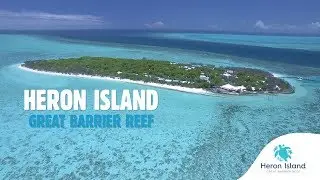 Heron Island - Great Barrier Reef