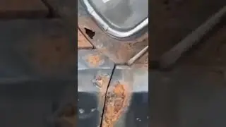 Ядерный раритет едет в 