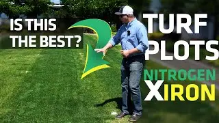 Which Type of Iron and Nitrogen for the Darkest Lawn? A Field Demonstration