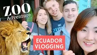 ZOO TIME! THE MONKEYS ARE OUT OF THEIR CAGES!!