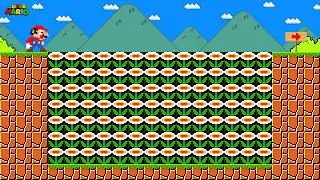 Can Mario Use 999 Fire Flowers in New Super Mario Bros. Wii ?