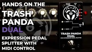 Trash Panda Dual - MIDI Expression Pedal Splitter - Hands On
