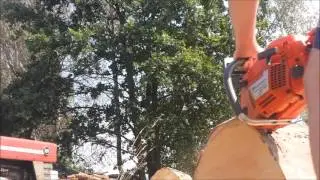 Stihl vs Husky