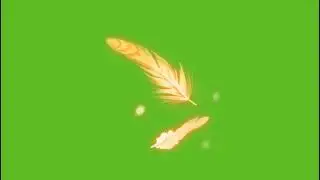 Free Green Screen Halloween Feathers 🪶