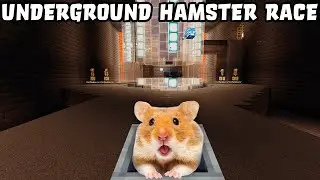 Hamster in UNDERGROUD MAZE Roller Coaster 😲 in Minecraft