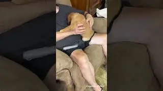 Nail Trimming - Mr. Silver
