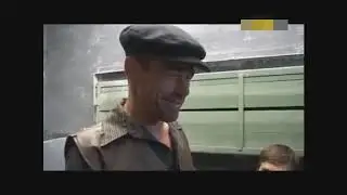 Золотая свобода