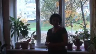 Долго выбирали, где заказать окна. Отзыв клиента.