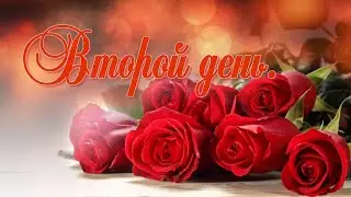 Второй день свадьбы Зины и Червона .