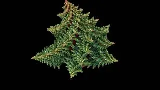 A Romanesco fractal is born